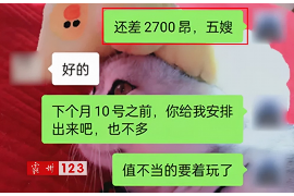 鹤岗融资清欠服务